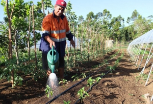 Healthy eco-systems, Healthy food, Healthy people 